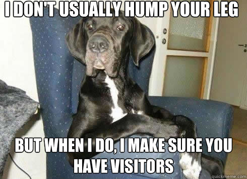 i dont usually hump your leg but when i do i make sure you - The Most Interesting Dog in the World