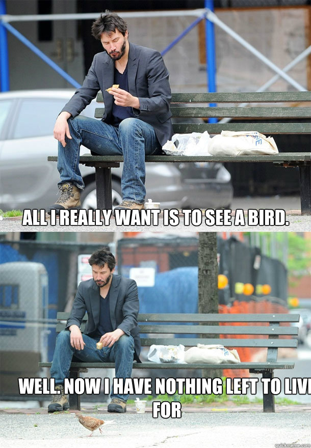 all i really want is to see a bird well now i have nothing - Sad Keanu