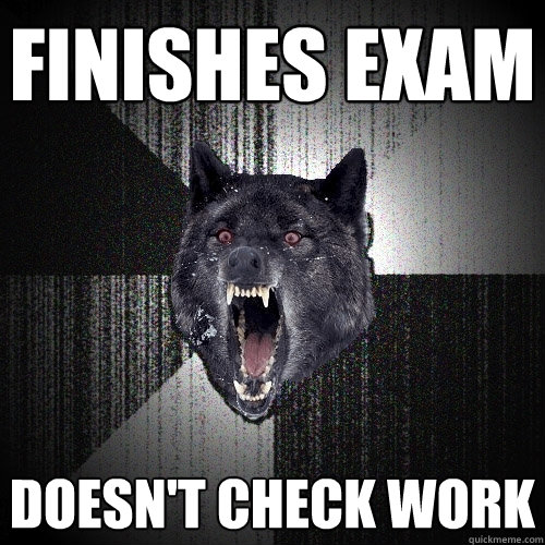 finishes exam doesnt check work - Insanity Wolf
