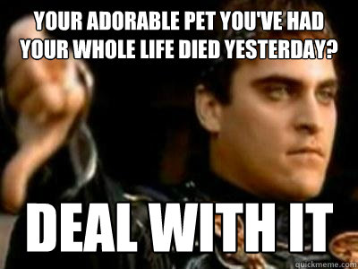 your adorable pet youve had your whole life died yesterday - Downvoting Roman