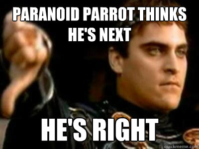 paranoid parrot thinks hes next hes right - Downvoting Roman