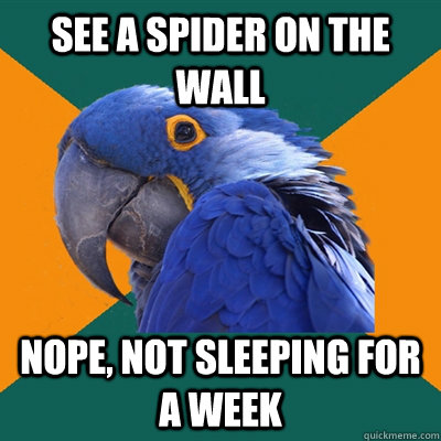 see a spider on the wall nope not sleeping for a week - Paranoid Parrot