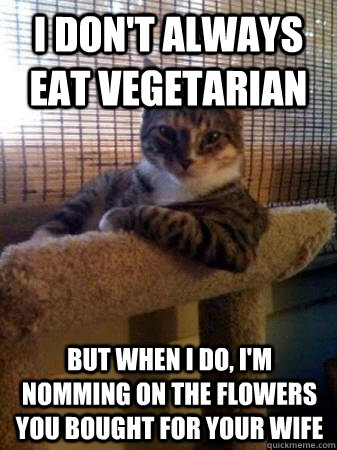 i dont always eat vegetarian but when i do im nomming on - The Most Interesting Cat in the World