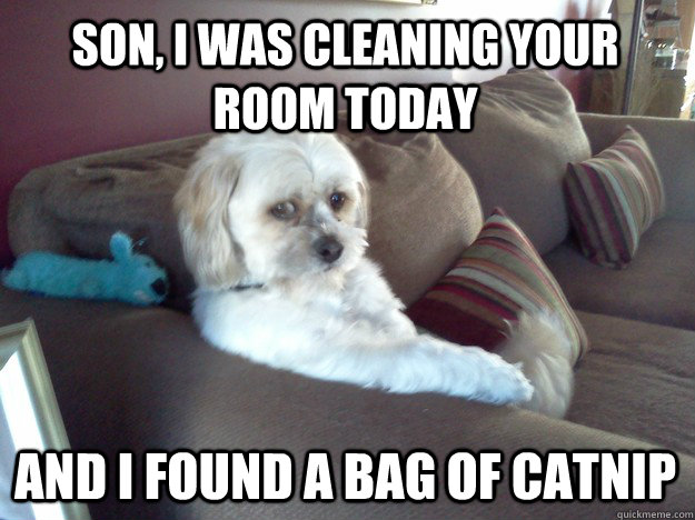 son i was cleaning your room today and i found a bag of cat - Disappointed Doggy