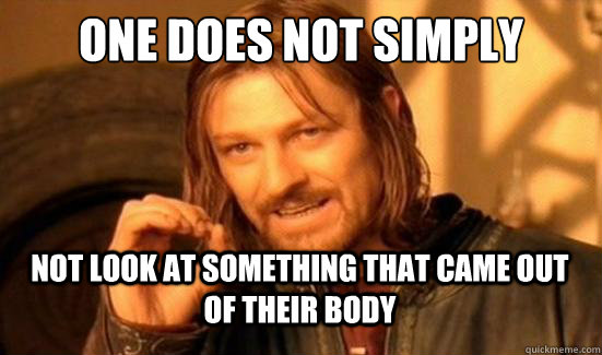 one does not simply not look at something that came out of t - Boromir