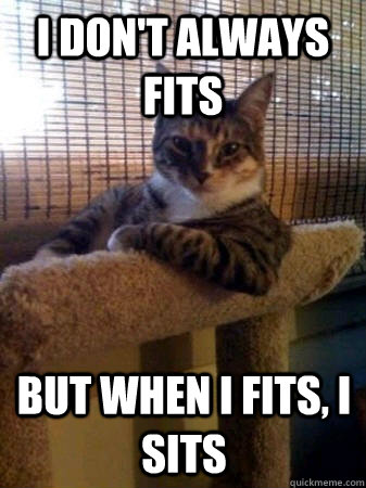 i dont always fits but when i fits i sits - The Most Interesting Cat in the World