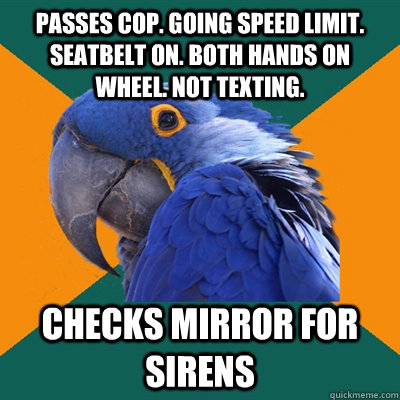 passes cop going speed limit seatbelt on both hands on wh - Paranoid Parrot