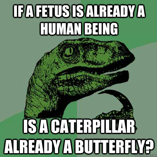 if a fetus is already a human being is a caterpillar already - Philosoraptor