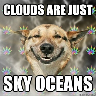 clouds are just sky oceans - Stoner Dog