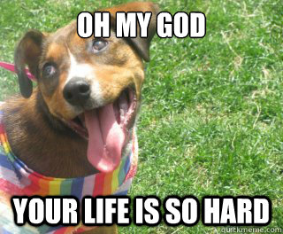 sarcastic dog