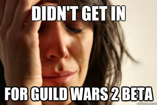 didnt get in for guild wars 2 beta - First World Problems