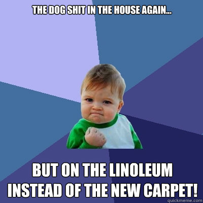 the dog shit in the house again but on the linoleum inste - Success Kid