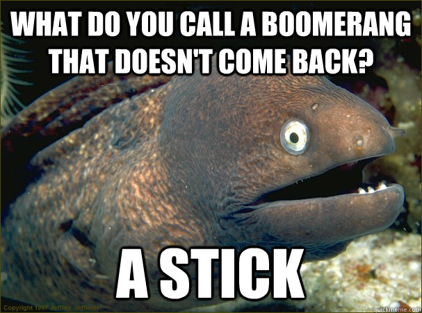 what do you call a boomerang that doesnt come back a stick - Bad Joke Eel