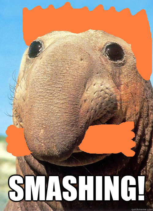 smashing - Nigel Elephant Seal