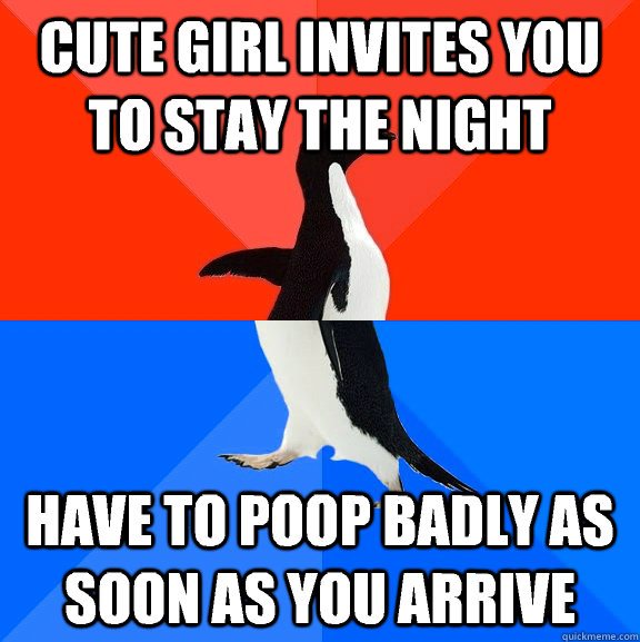 cute girl invites you to stay the night have to poop badly a - Socially Awesome Awkward Penguin