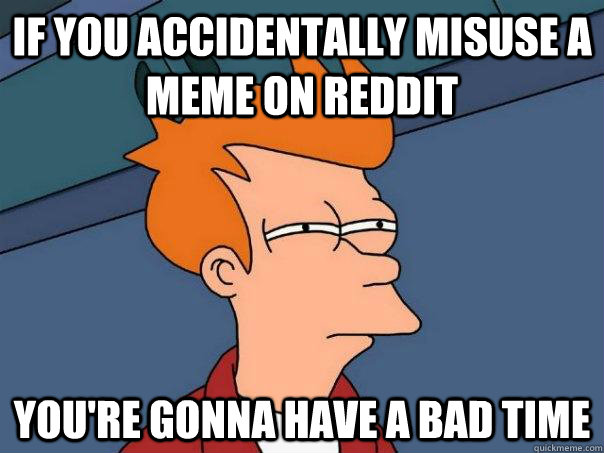 if you accidentally misuse a meme on reddit youre gonna hav - Futurama Fry