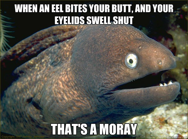 when an eel bites your butt and your eyelids swell shut tha - Bad Joke Eel