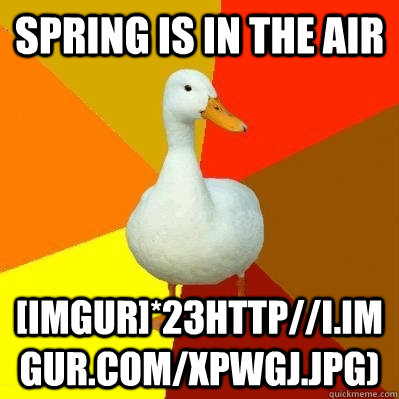 spring is in the air imgur23httpiimgurcomxpwgjjpg - Tech Impaired Duck