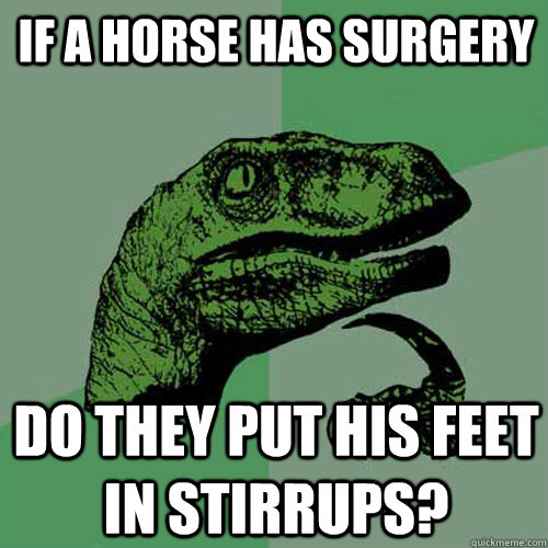if a horse has surgery do they put his feet in stirrups - Philosoraptor