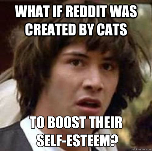 what if reddit was created by cats to boost their selfeste - Conspiracy Keanu