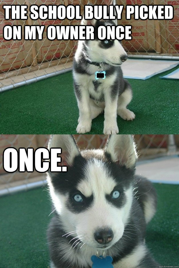the school bully picked on my owner once once - Insanity puppy