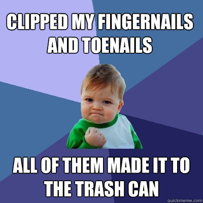 clipped my fingernails and toenails all of them made it to t - Success Kid