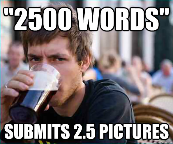 2500 words submits 25 pictures - College Senior