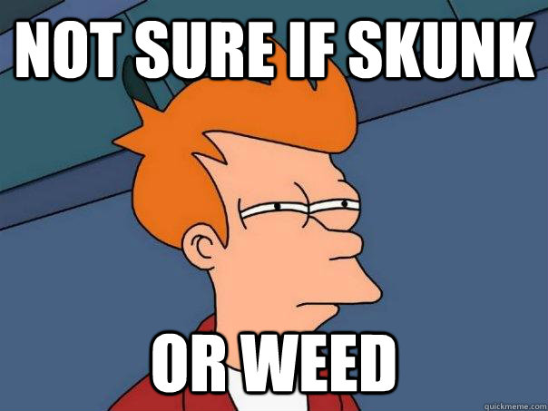 not sure if skunk or weed - Futurama Fry