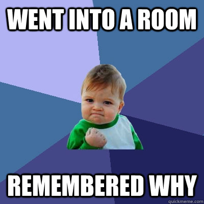 went into a room remembered why - Success Kid