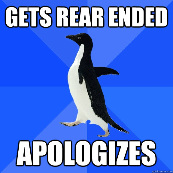 gets rear ended apologizes - Socially Awkward Penguin