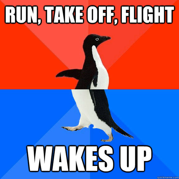 run take off flight wakes up - Socially Awesome Awkward Penguin