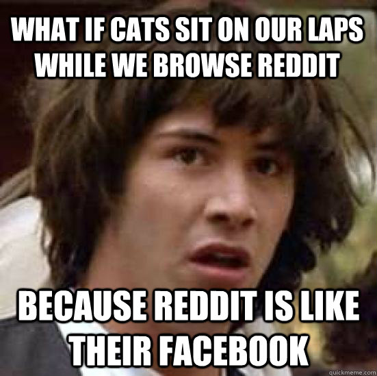 what if cats sit on our laps while we browse reddit because - conspiracy keanu