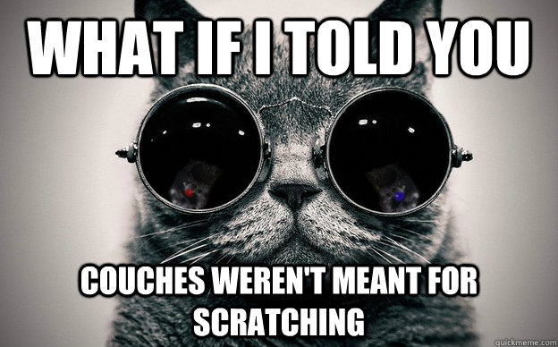 what if i told you couches werent meant for scratching - Cat morpheus plus paws