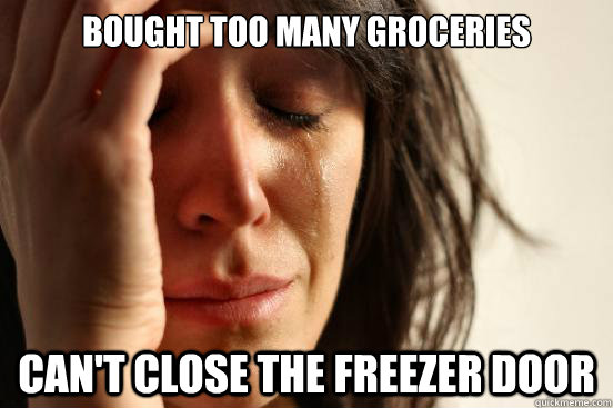 bought too many groceries cant close the freezer door - First World Problems