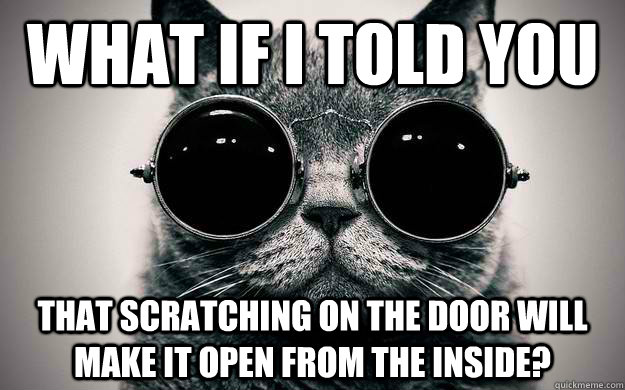 what if i told you that scratching on the door will make it - Morpheus Cat Facts