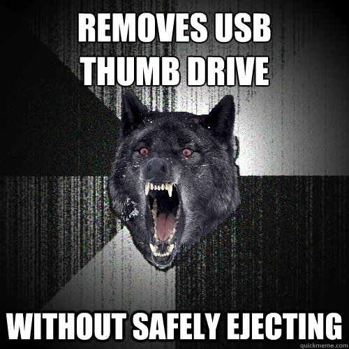 removes usb thumb drive without safely ejecting - Insanity Wolf