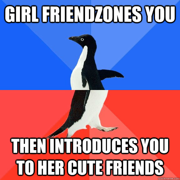 girl friendzones you then introduces you to her cute friends - Socially Awkward Awesome Penguin