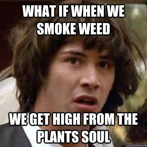what if when we smoke weed we get high from the plants soul - conspiracy keanu