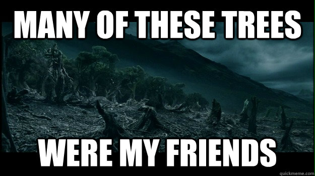 many of these trees were my friends -