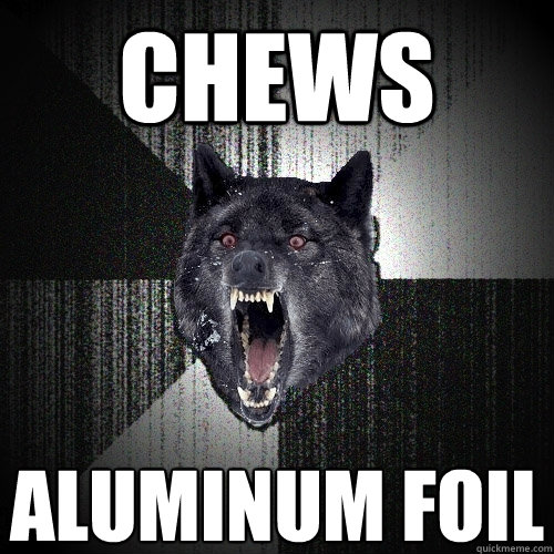 chews aluminum foil - Insanity Wolf