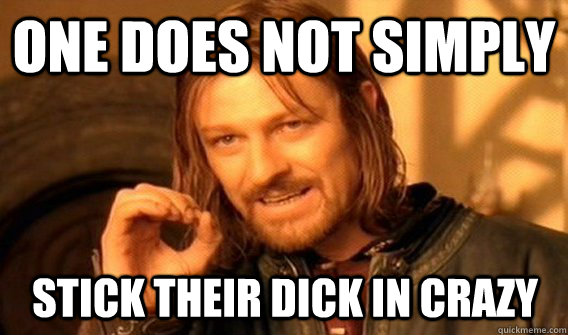 one does not simply stick their dick in crazy - Boromir