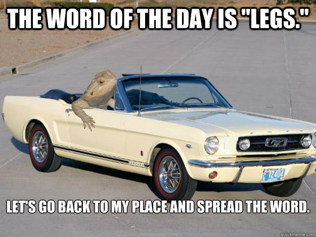 the word of the day is legs lets go back to my place an - Pickup Dragon
