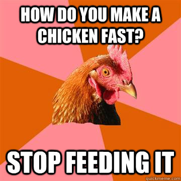 how do you make a chicken fast stop feeding it - Anti-Joke Chicken