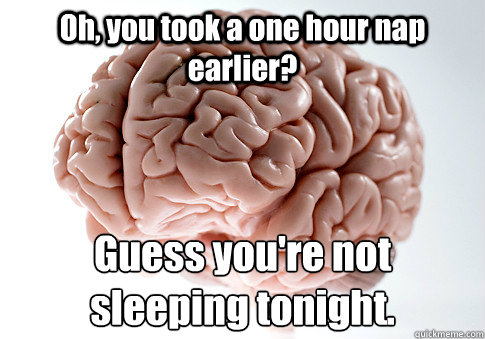 oh you took a one hour nap earlier guess youre not sleepi - Scumbag Brain