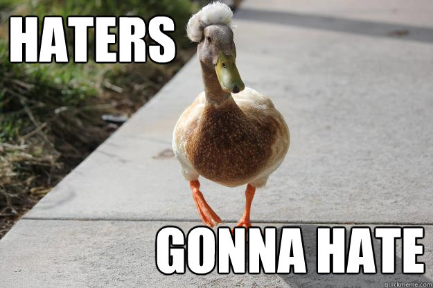 haters gonna hate - Duckfro