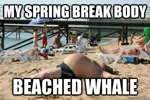 my spring break body beached whale - fat spring break