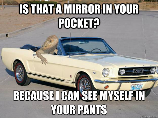 is that a mirror in your pocket because i can see myself in - Pickup Dragon
