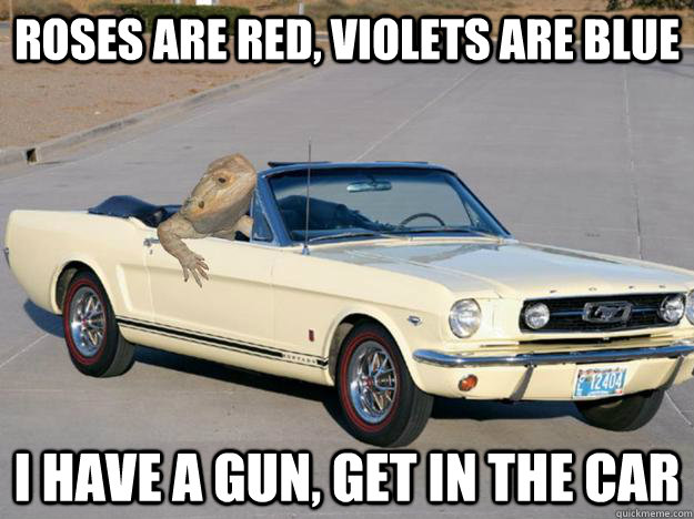 roses are red violets are blue i have a gun get in the car - Pickup Dragon