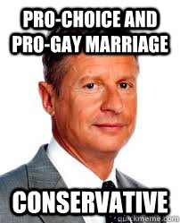 prochoice and progay marriage conservative - Good Guy Gary Johnson