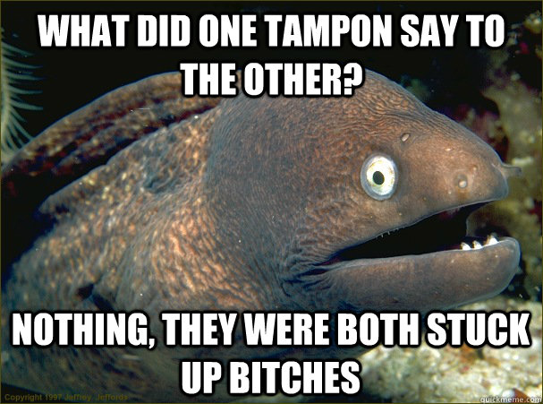 what did one tampon say to the other nothing they were bot - Bad Joke Eel